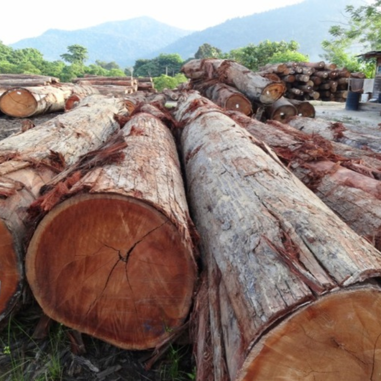 Mahogany Family Hardwood and Why It Was Chosen